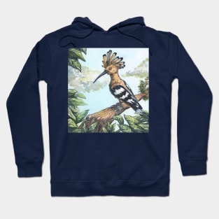 hoopoe on a branch - traditional watercolor painting Hoodie